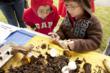 Hagley Museum and Library Family Event Focuses on the Earth
